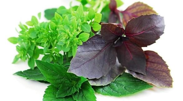 8 продуктов с высоким содержанием магния