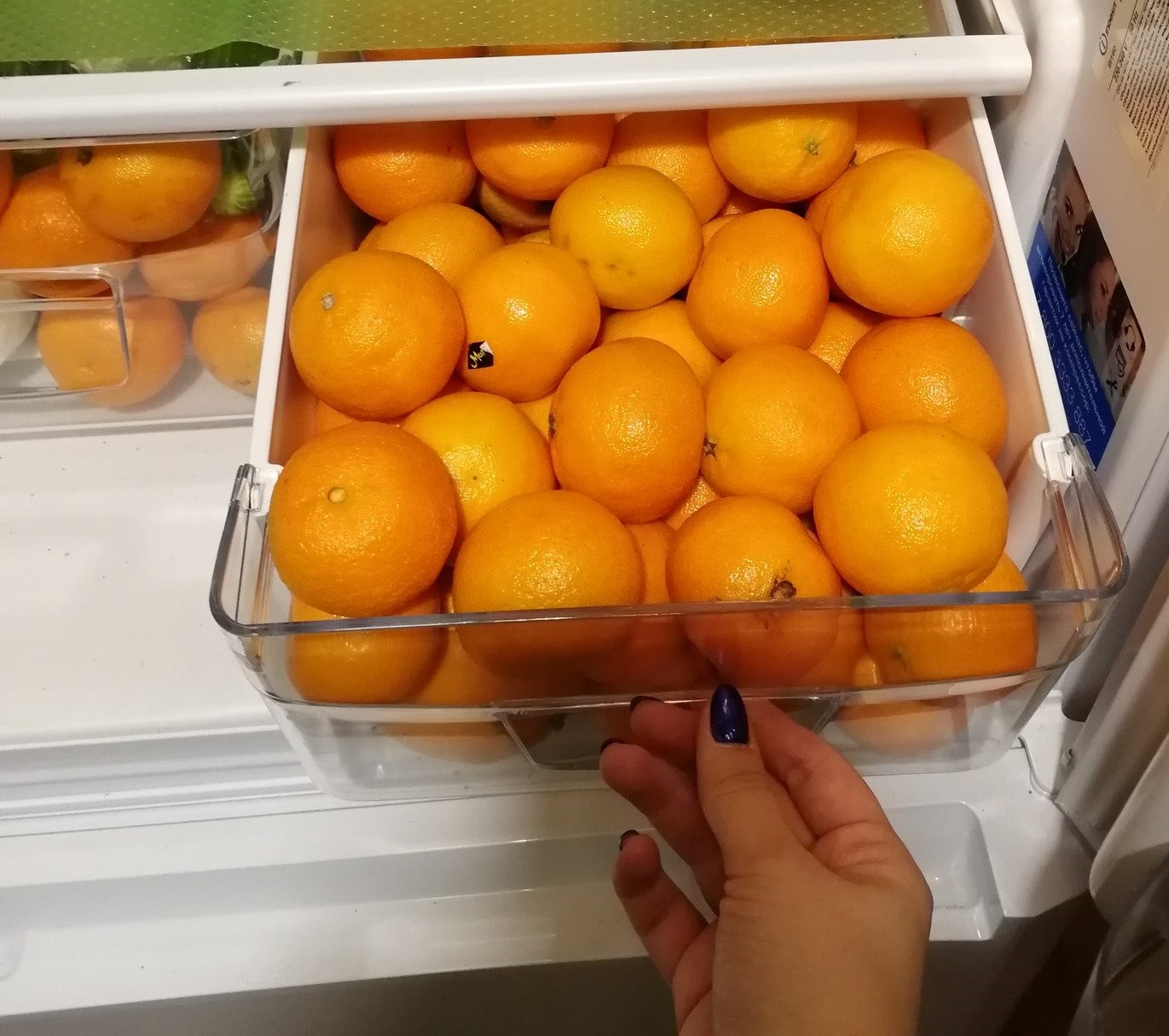 Холодильник мандаринов